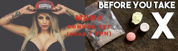 индика Арсеньев