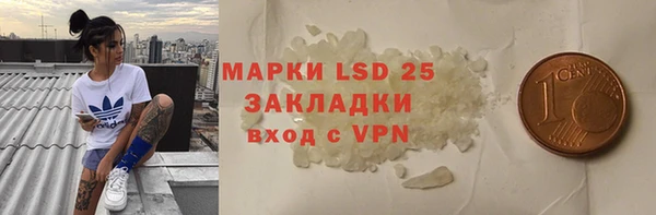 индика Арсеньев