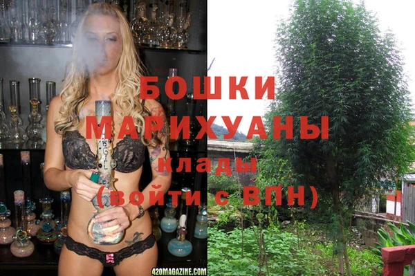 бошки Аркадак