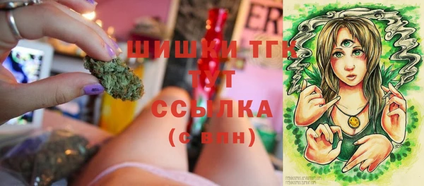 индика Арсеньев