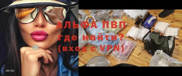 индика Арсеньев