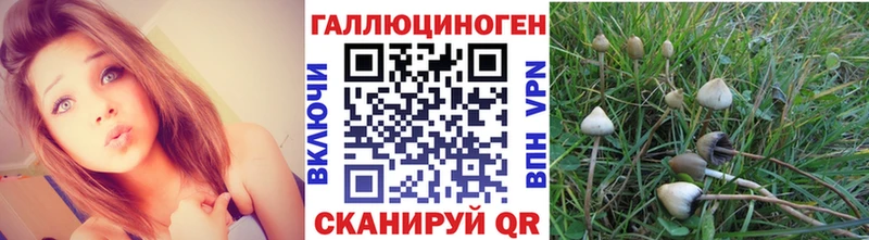 MEGA ССЫЛКА Усолье Галлюциногенные грибы Cubensis